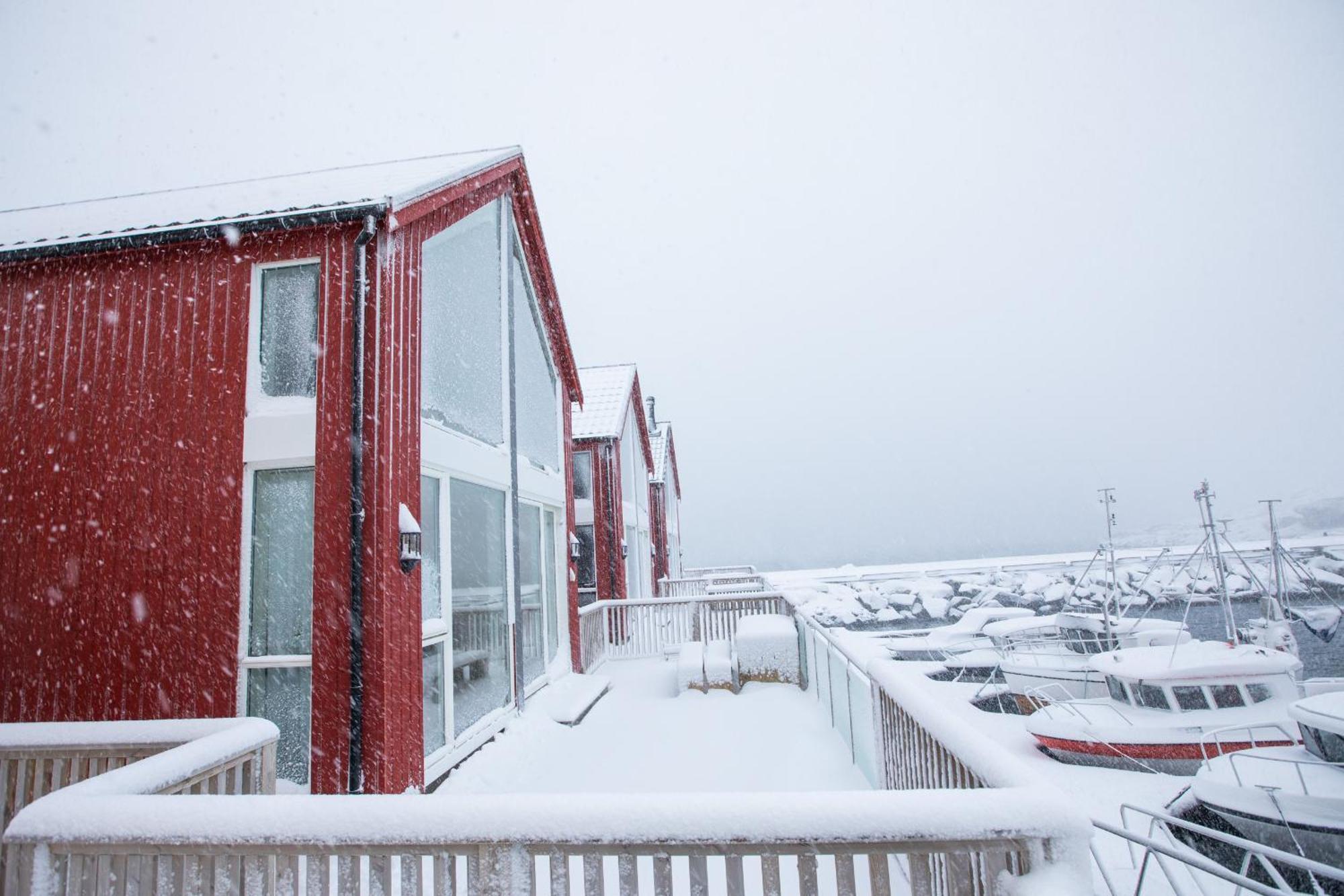 High Standard Lodge Ballstad Kültér fotó